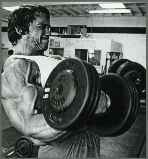 arnold-press-muscles-worked